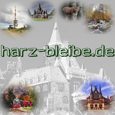 Harz-Bleibe Wernigerode Apartamento Exterior foto