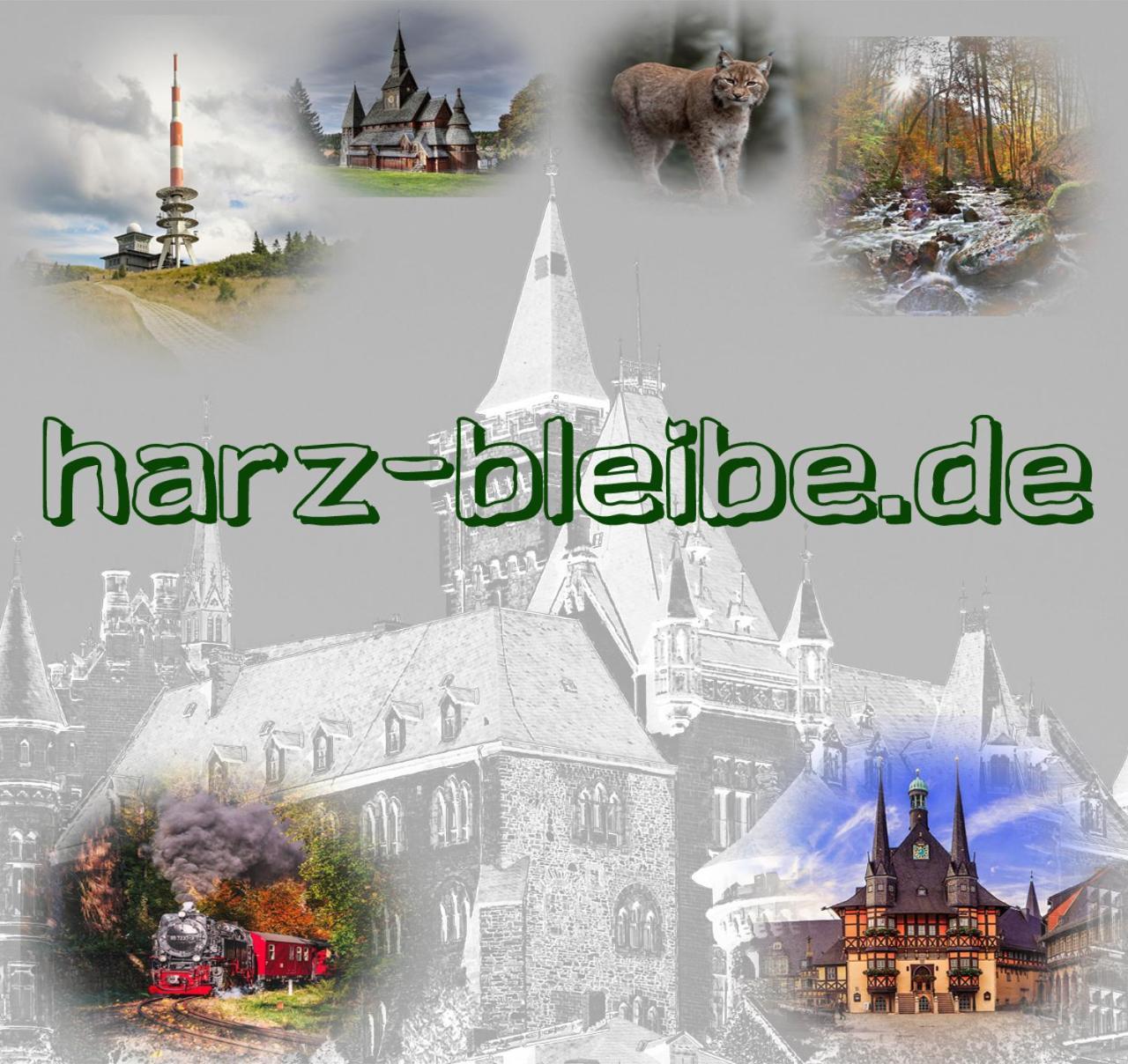 Harz-Bleibe Wernigerode Apartamento Exterior foto